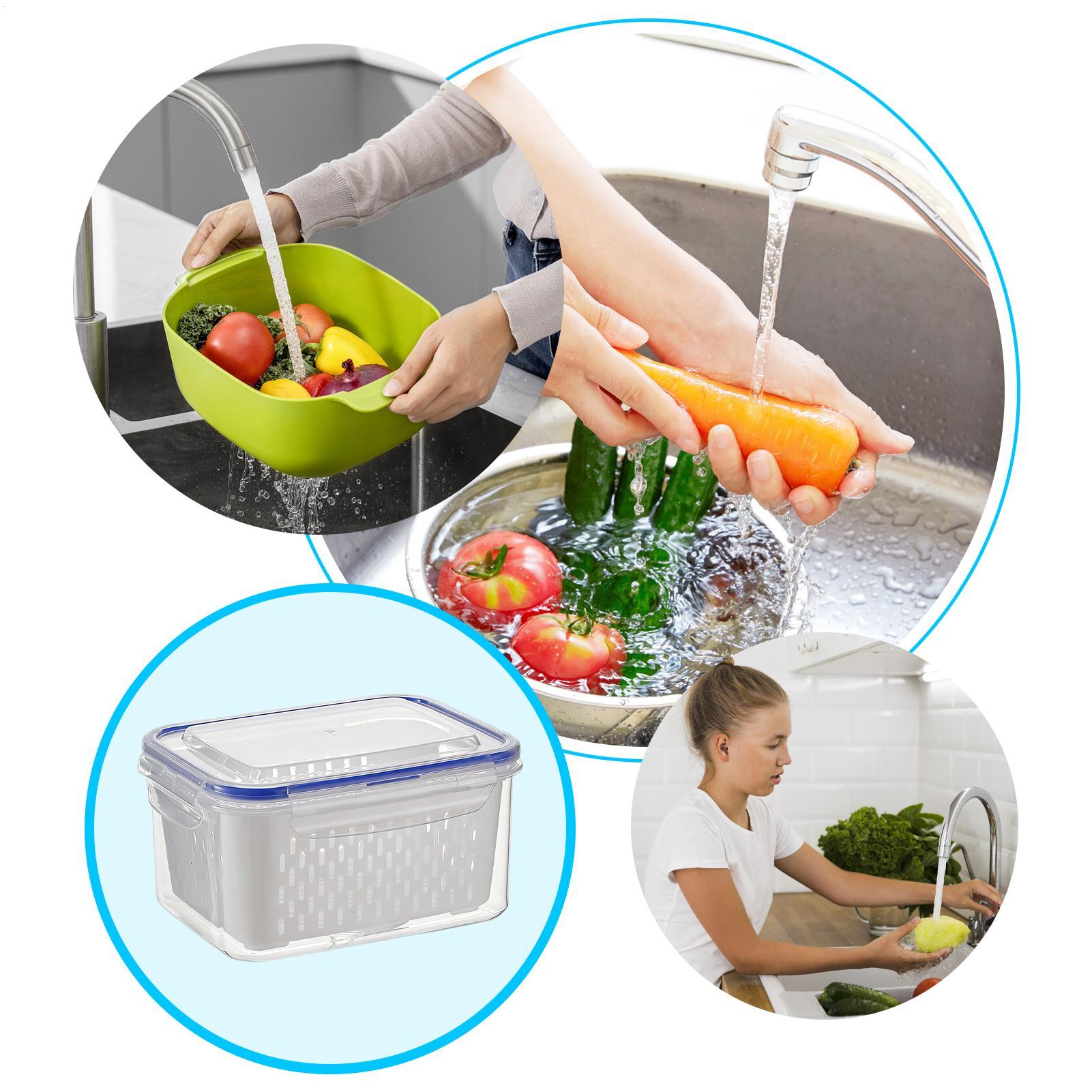 Contenedor de Almacenamiento d - Food Storage Container reseña y precio
